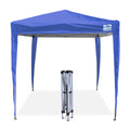 TOLDO MANUAL AOKING 2 X2m 2.95 de ALTURA
